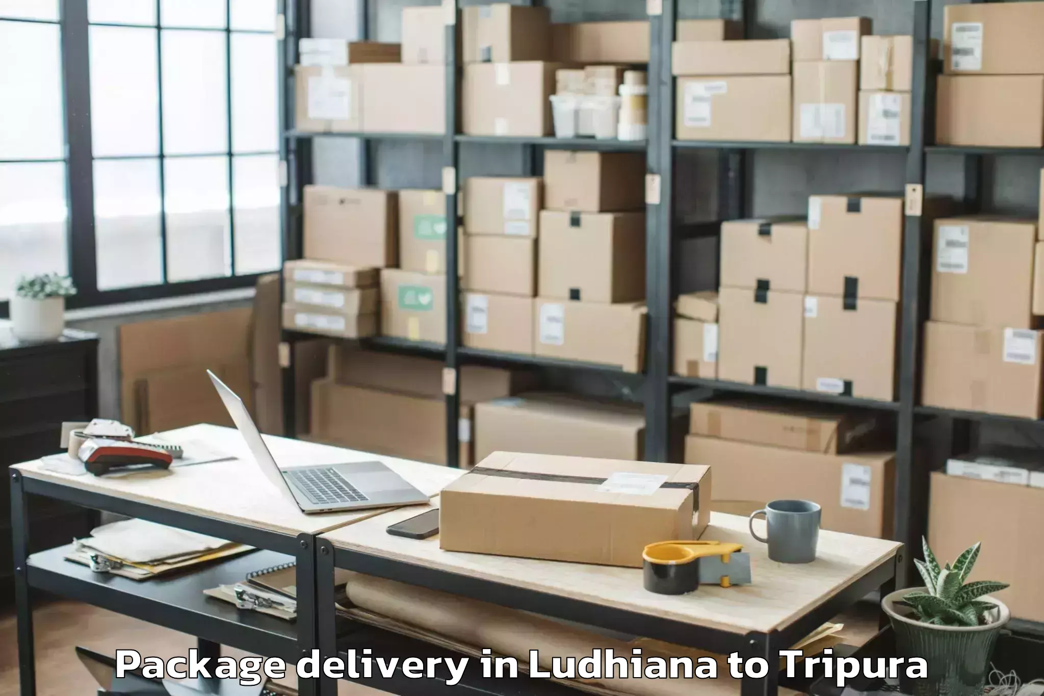 Reliable Ludhiana to Khowai Airport Ixn Package Delivery